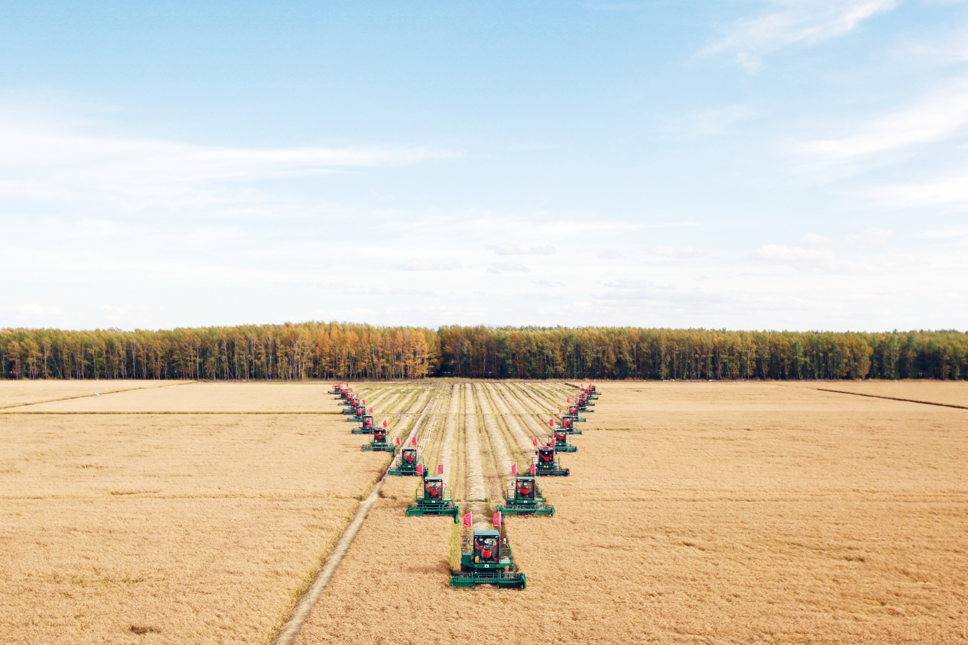 服務種業(yè)發(fā)展 保障糧食安全