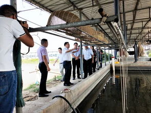 省農(nóng)業(yè)農(nóng)村廳副廳長高慶營一行 到南海九江調(diào)研水產(chǎn)種業(yè)