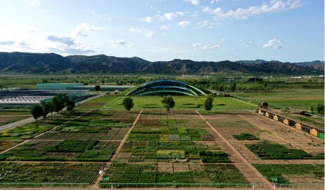 蒙草生態(tài)上市十周年:種業(yè)為本、科研當先