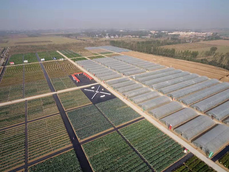 種業小鎮賦能農業強'芯'，構筑現代農業新引擎