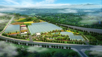 加強國際交流合作，推進花卉種業再上新臺階