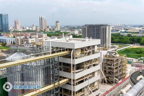 江海糧油張家港產業園二期榨油廠順利投產，年產96萬噸助力種業與糧油產業鏈協同發展